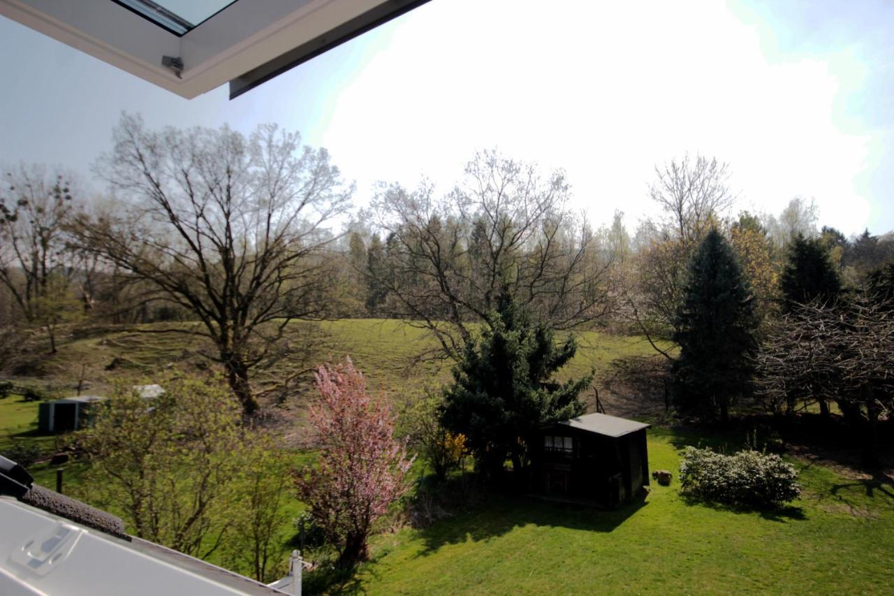Rehblick Bad Harzburg